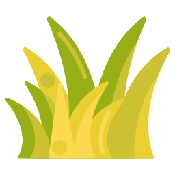 GRASS GRASS